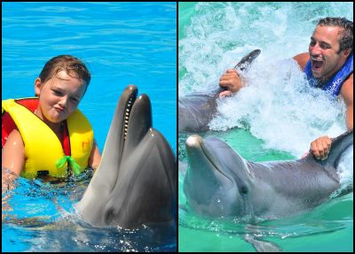 Antalya Schwimmen mit Delfinen